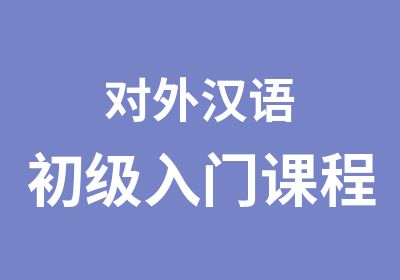 对外汉语初级入门课程