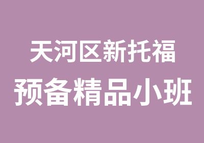 天河区新托福预备精品小班课程辅导