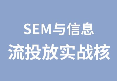 SEM与信息流投放实战核心策略—主管班