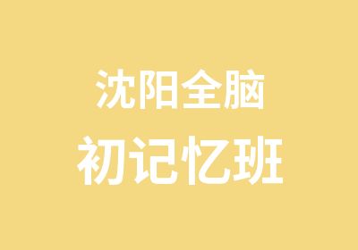 沈阳全脑初记忆班