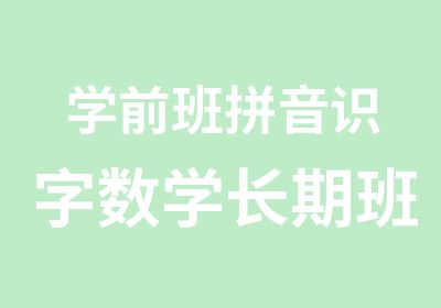 学前班拼音识字数学长期班