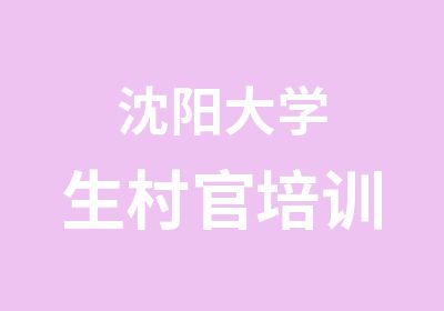 沈阳大学生村官培训