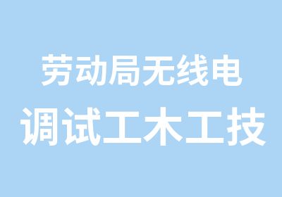 劳动局无线电调试工木工高级技师