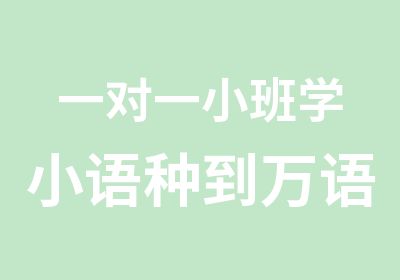 小班学小语种到万语专业小语种培训