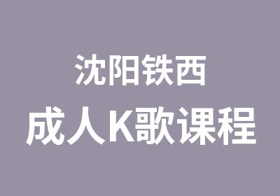 沈阳铁西成人K歌课程