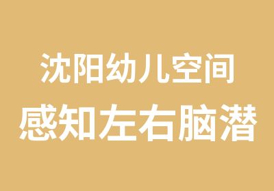 沈阳幼儿空间感知左右脑潜力开发