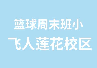 篮球周末班小飞人莲花校区