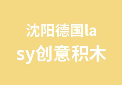 沈阳德国lasy创意积木