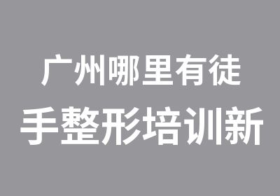 广州哪里有徒手整形培训新技术