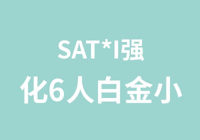 SAT*I强化6人白金小班（面授+网课）