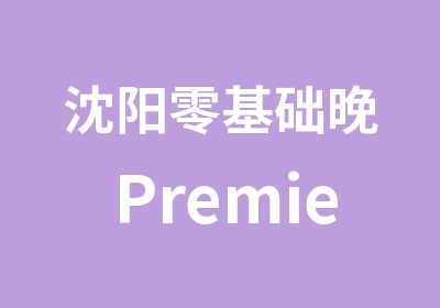 沈阳零基础晚Premiere培训