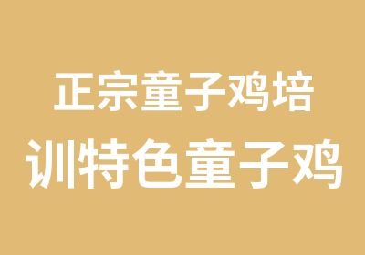 正宗童子鸡培训特色童子鸡技术培训