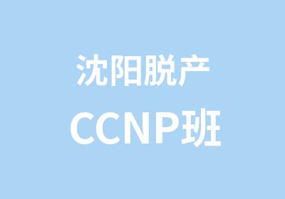 沈阳脱产CCNP班