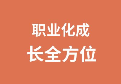 职业化成长