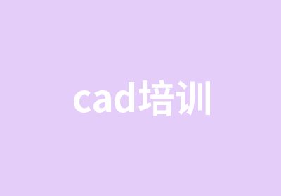 cad培训