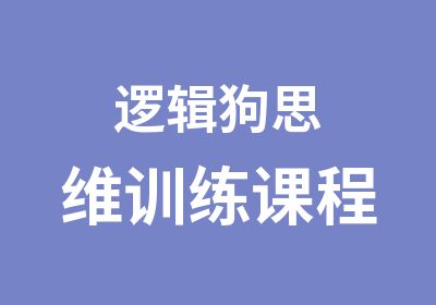 逻辑狗思维训练课程