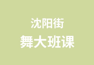 沈阳街舞大班课