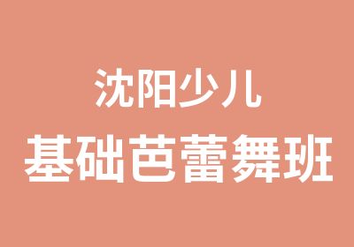 沈阳少儿基础芭蕾舞班