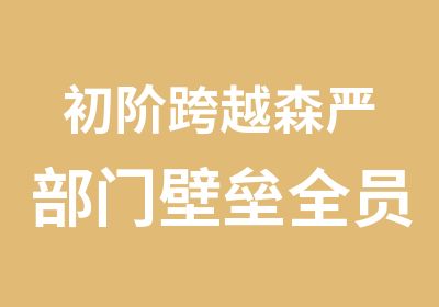 初阶跨越森严部门壁垒全员流程管理