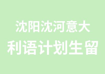 沈阳沈河意大利语计划生留学班