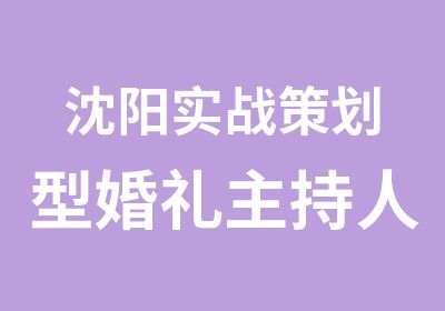 沈阳实战策划型婚礼主持人精英特训