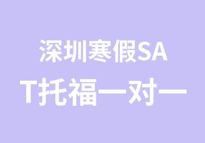 深圳寒假SAT托福定制化培训