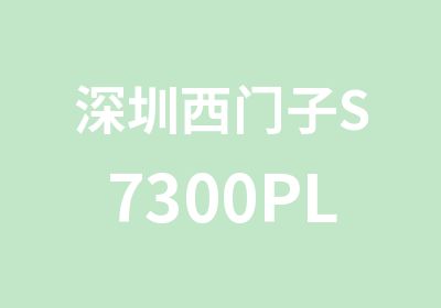深圳西门子S7300PLC设计师