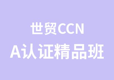 世贸CCNA认证精品班