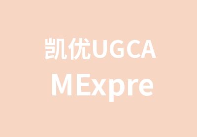 凯优UGCAMExpress