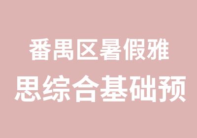 番禺区暑假雅思综合基础预备VIP6人班