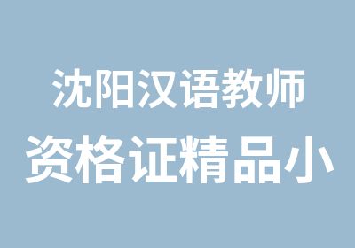 沈阳汉语教师资格证精品小班培训