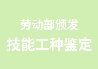 劳动部颁发技能工种鉴定