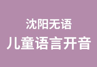 沈阳无语儿童语言开音