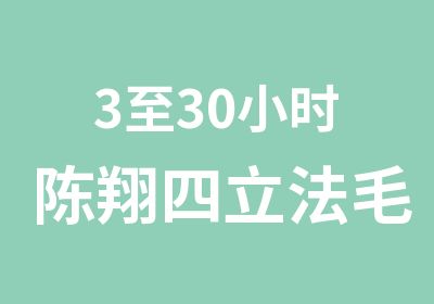 3至30小时陈翔四立法毛笔硬笔速成