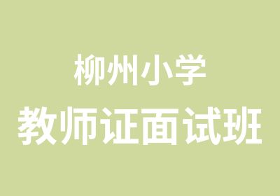 柳州小学教师证面试班