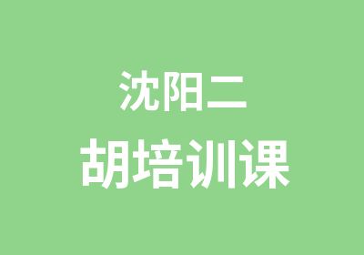 沈阳二胡培训课