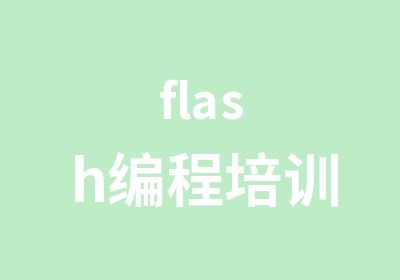 flash编程培训