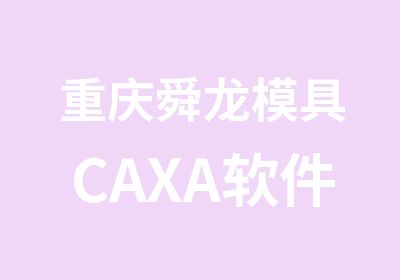 重庆舜龙模具CAXA软件培训
