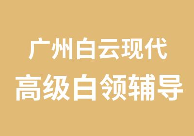 广州白云现代白领辅导班