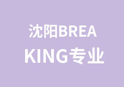 沈阳BREAKING专业培训