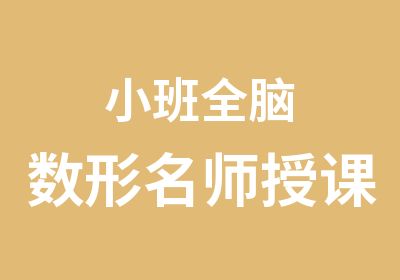 小班全脑数形授课