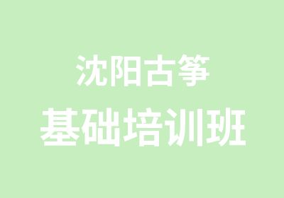 沈阳古筝基础培训班