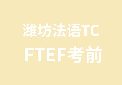 潍坊法语TCFTEF考前冲刺班