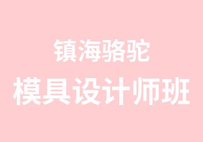 镇海骆驼模具设计师班