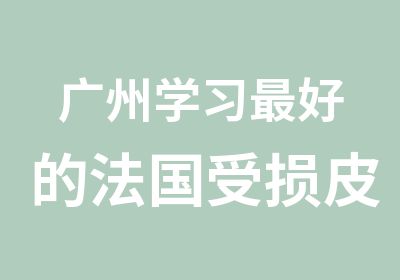 广州学习好的法国受损皮肤修复课程