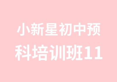 小新星初中预科培训班11至12岁