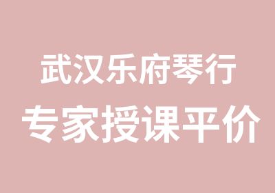 武汉乐府琴行授课平价收费