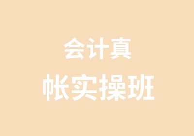 会计真帐实操班