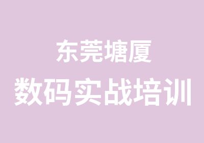 东莞塘厦数码实战培训