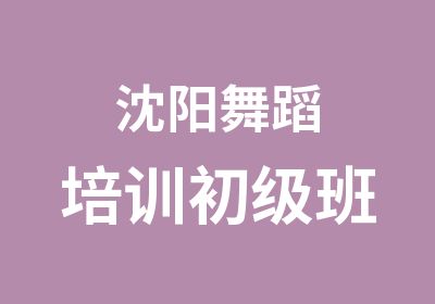 沈阳舞蹈培训初级班